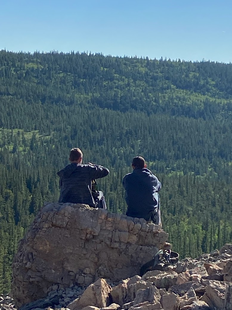 Scouts on rock staring out over a forest